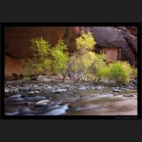 The Narrows, Zion National Park