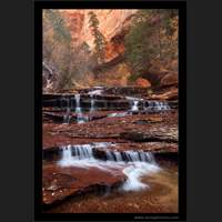 Left Fork North Creek, Zion National Park