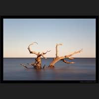 Big Talbot Island, Florida